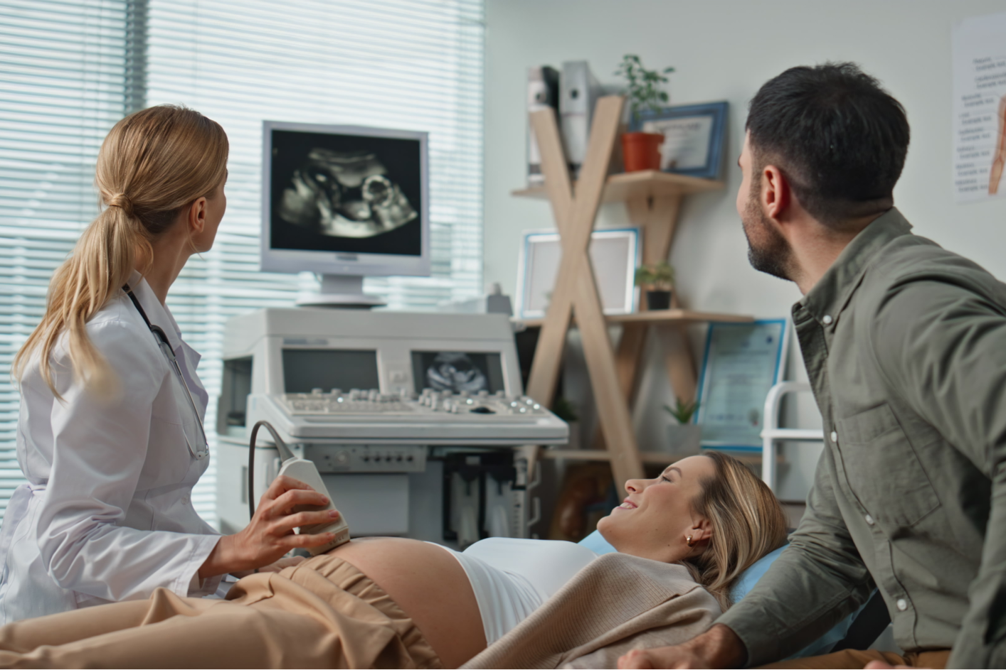 Immunofluorescence Test